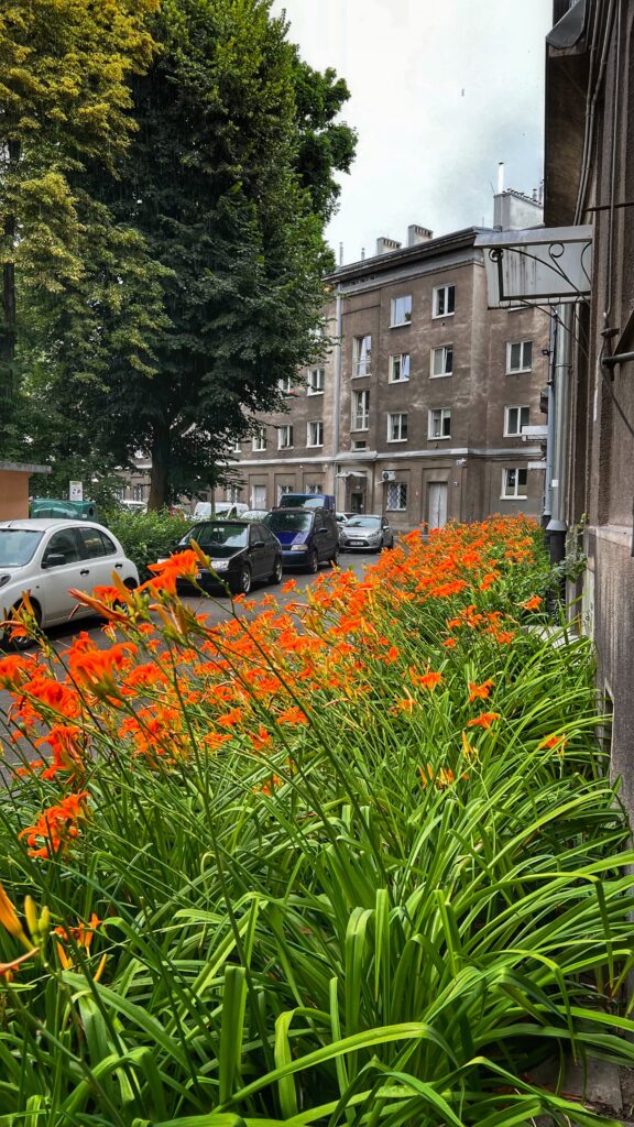 Nowa Huta na Liście UNESCO – Szansa czy Zagrożenie? fot. Marcin Pawlik