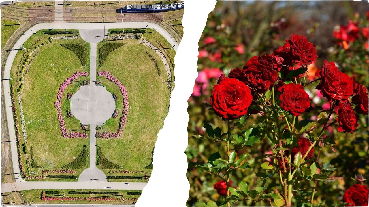 Ogrody Osiemnastki w Nowej Hucie