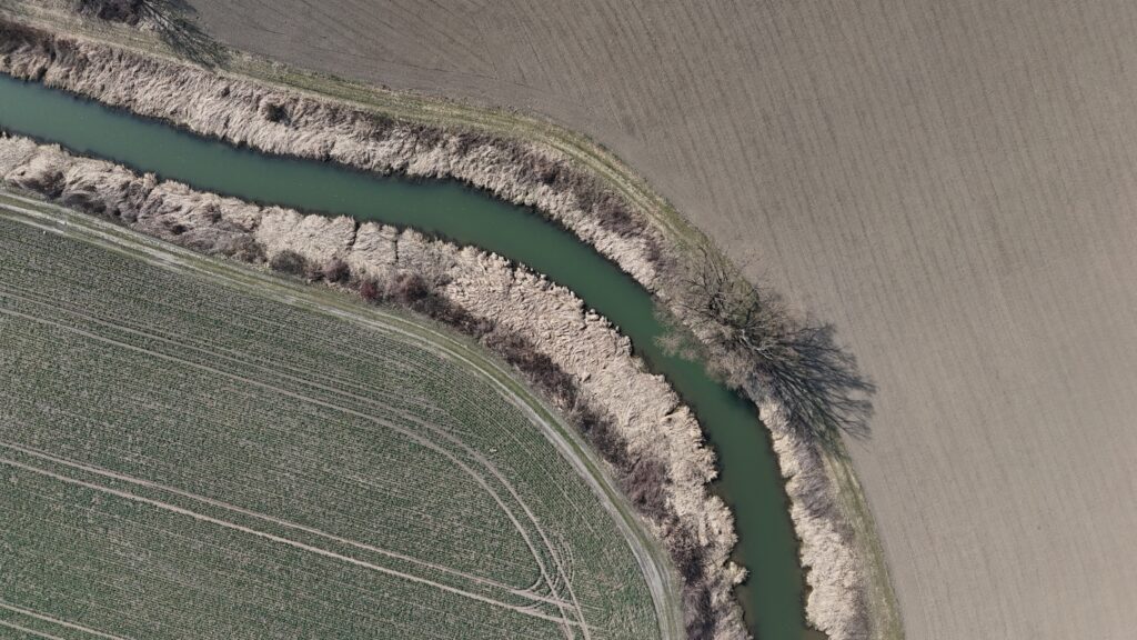 Renaturyzacja ujścia Dłubni w Krakowie