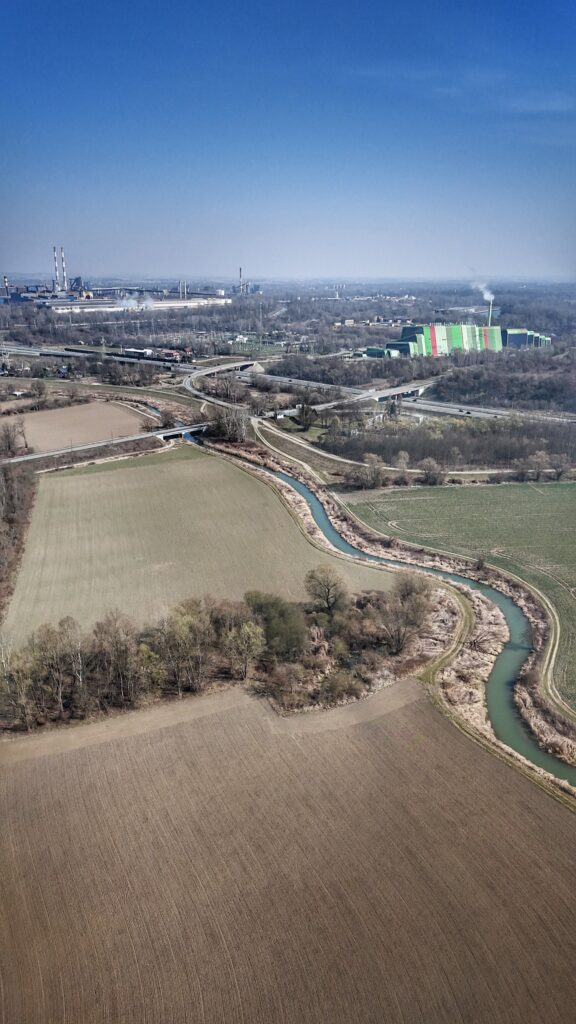 Renaturyzacja ujścia Dłubni w Krakowie