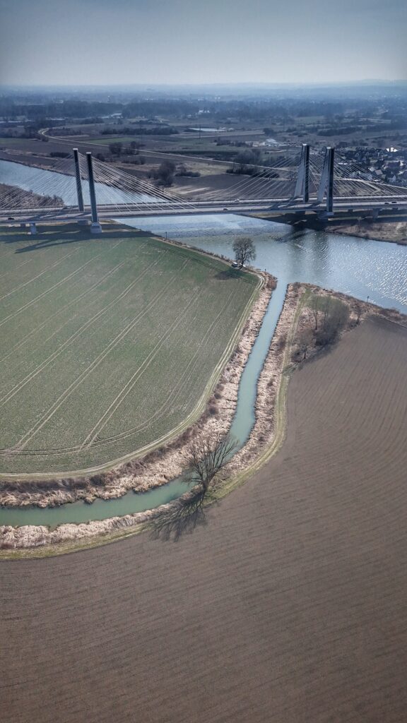 Renaturyzacja ujścia Dłubni w Krakowie