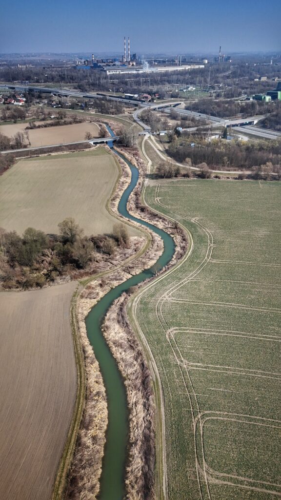Renaturyzacja ujścia Dłubni w Krakowie