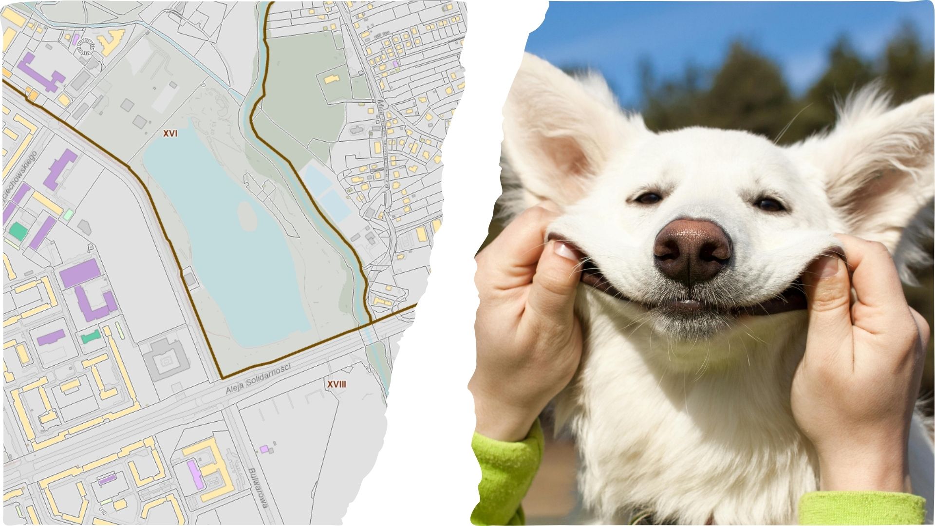 Dlaczego wybieg dla psów nad Zalewem Nowohuckim wciąż nie jest rozbudowywany?