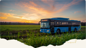 Komunikacja miejska w Kościelnikach. Autobus, którym nikt nie jeździ, bo prawie go nie ma